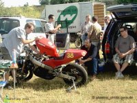 Harzring 2006